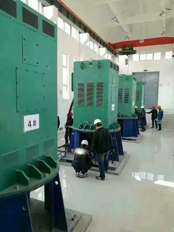 海南保亭热带作物研究所某污水处理厂使用我厂的立式高压电机安装现场